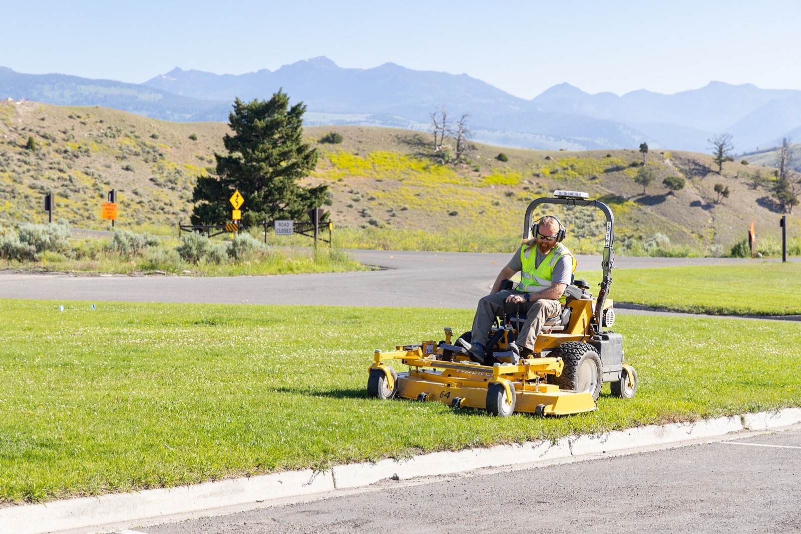 Landscapers: the work a TMG marketing engine keeps on the schedule